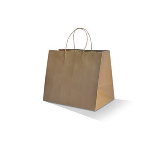 Brown Kraft Bag/Twisted Paper Handle/TA Medium