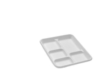 Sugarcane Platter 5 Compartments