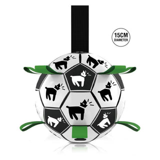 Interactive Pet Grab Play Ball- 15CM Series