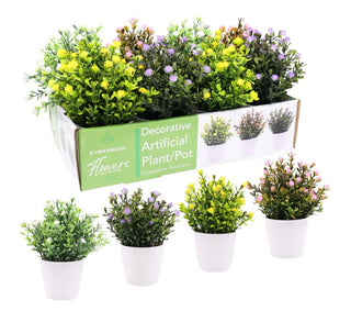 Decorative Artifical Plant/Pot - Display Box Series - Gypsophila Paniculata