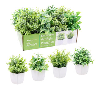 Decorative Artifical Plant/Pot - Display Box Series - Green Leaf Plant